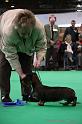 Crufts2011_2 1124